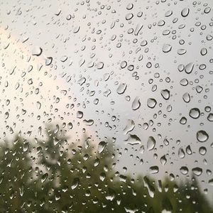 Meet your Posher, Nora